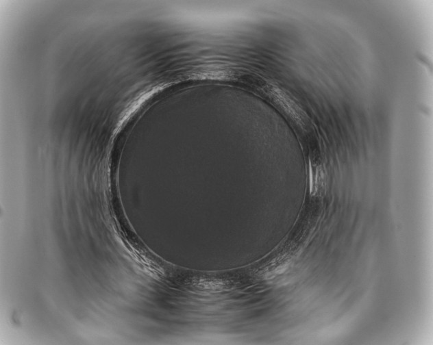 X0000097000531200802221523