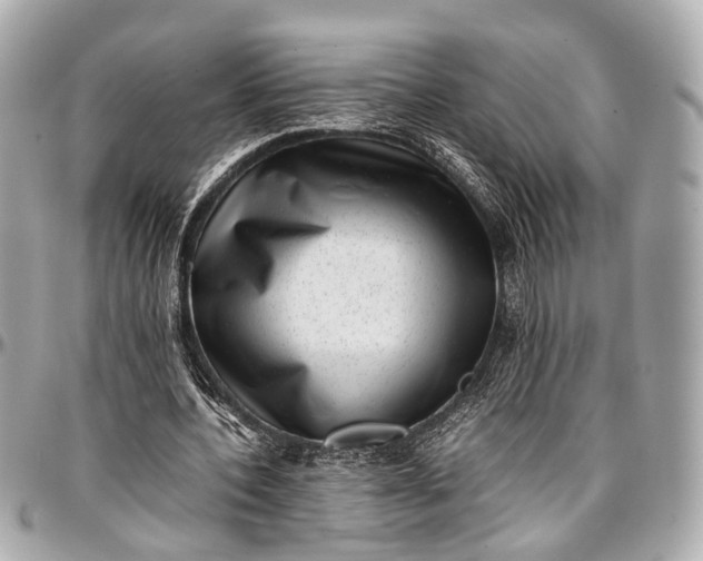 X0000097000532200802221523