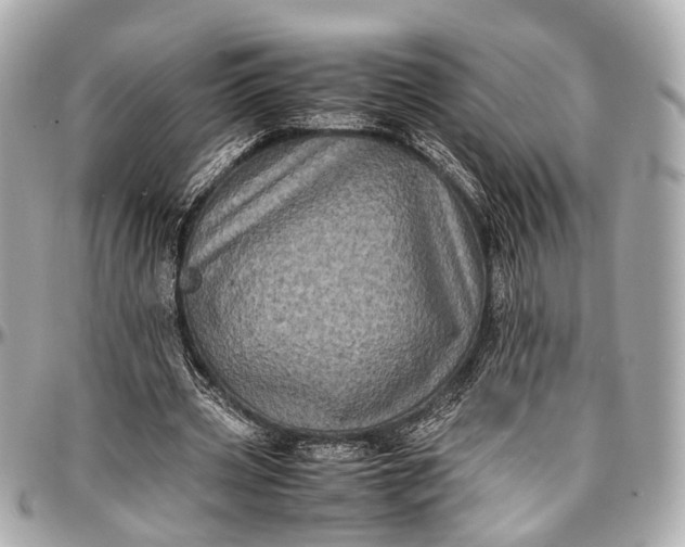 X0000097000533200802221523