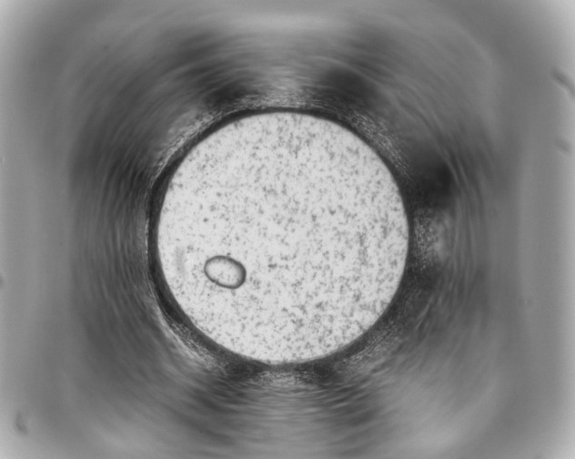 X0000097000534200802221523