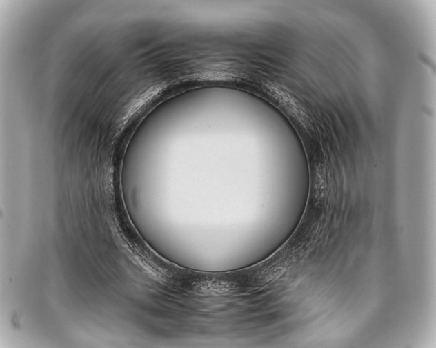 X0000097000535200802221523