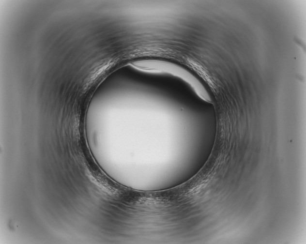 X0000097000538200802221523