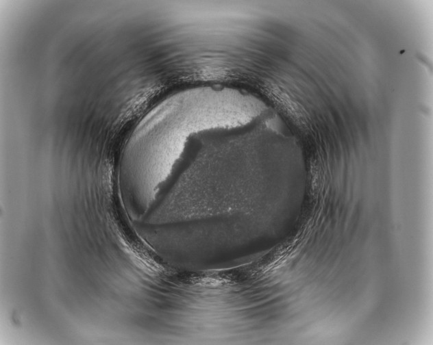 X0000097000542200802221523