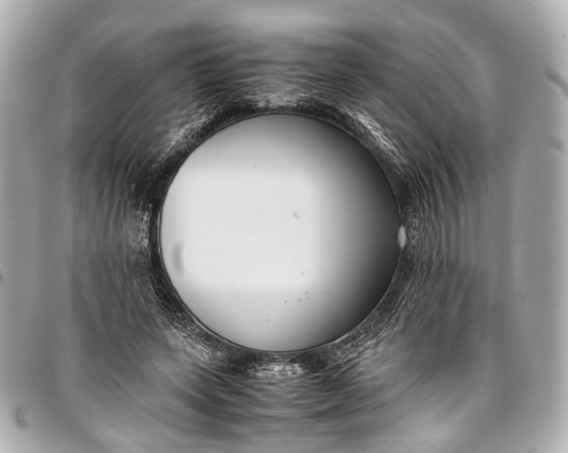 X0000097000543200802221523