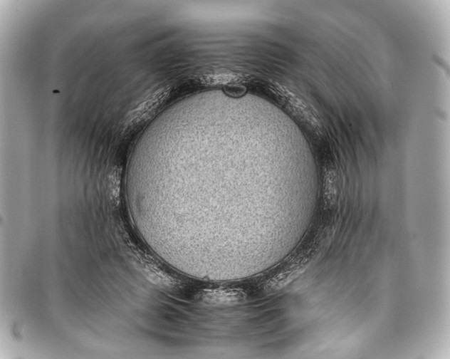 X0000097000545200802221523