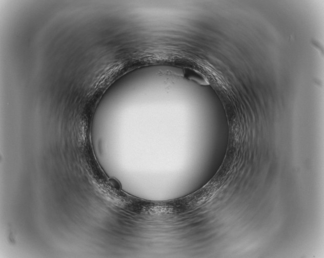 X0000097000546200802221523