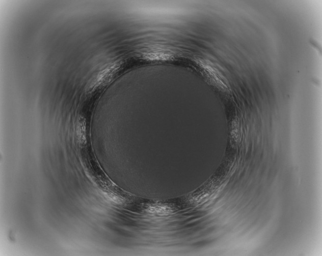 X0000097000547200802221523