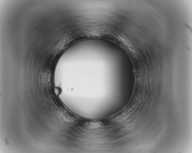 X0000097000548200802221523