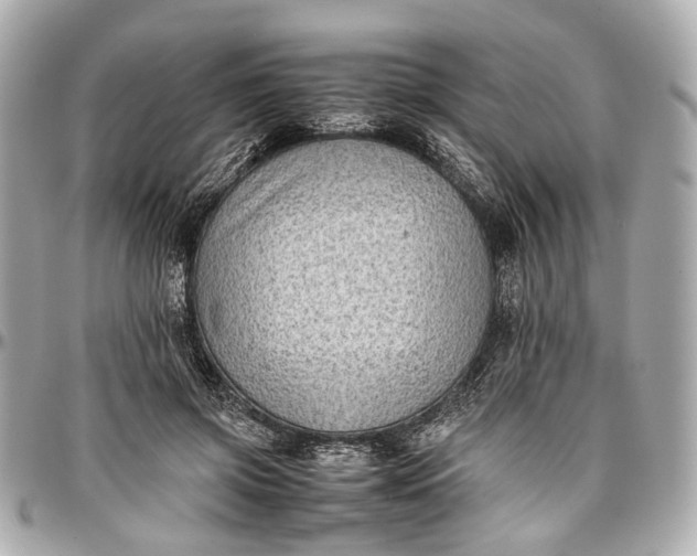 X0000097000549200802221523