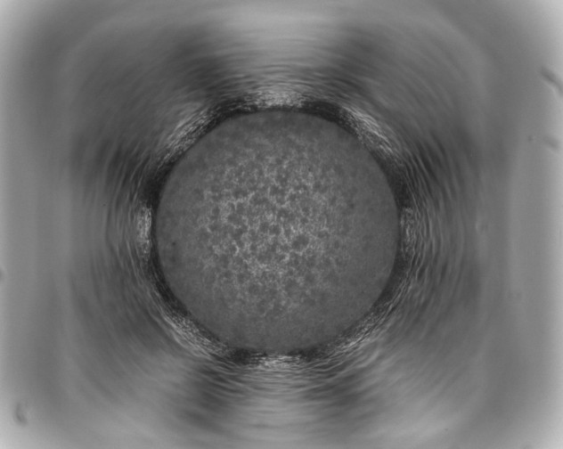 X0000097000550200802221523