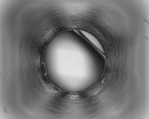 X0000097000552200802221523