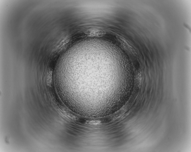 X0000097000554200802221523