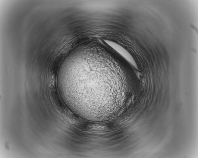 X0000097000555200802221523