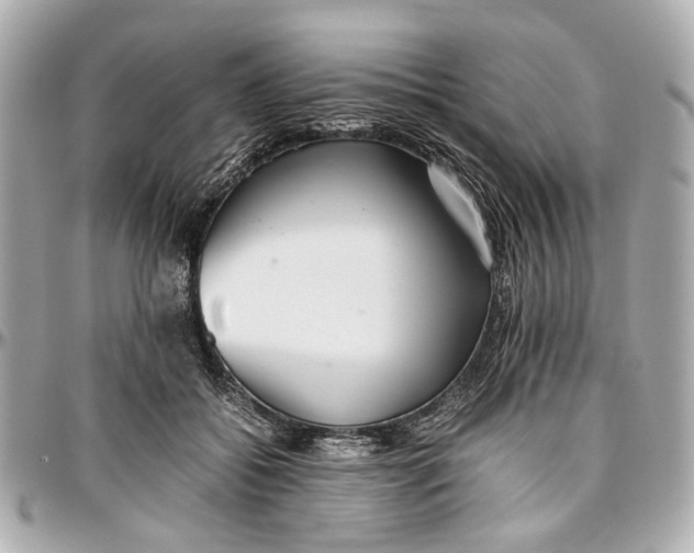 X0000097000556200802221523