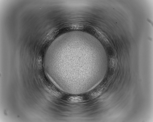 X0000097000557200802221523