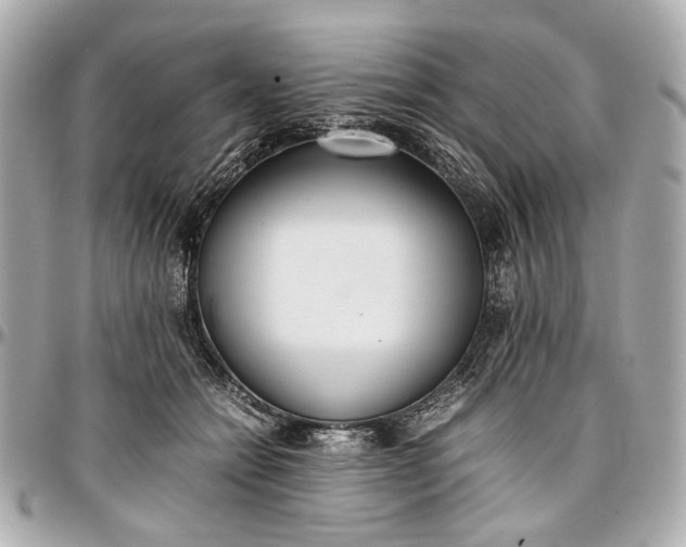 X0000097000558200802221523