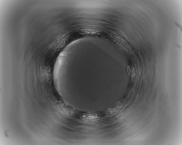 X0000097000559200802221523