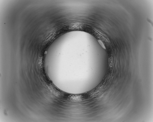 X0000097000560200802221523