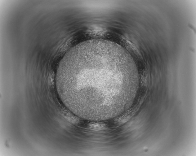 X0000097000561200802221523