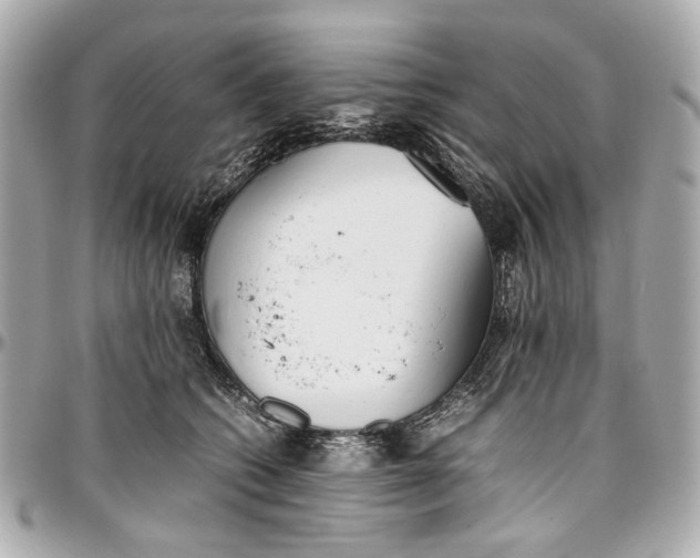 X0000097000562200802221523