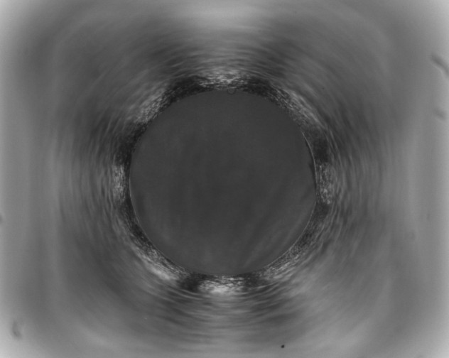 X0000097000563200802221523