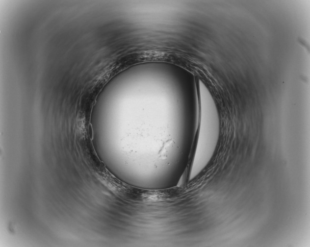 X0000097000564200802221523