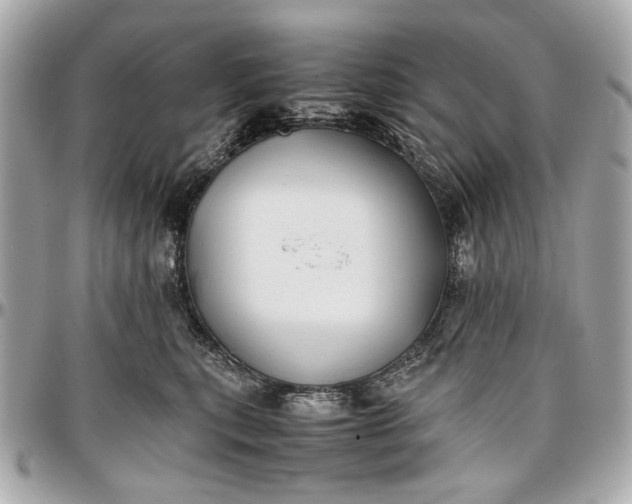 X0000097000567200802221523