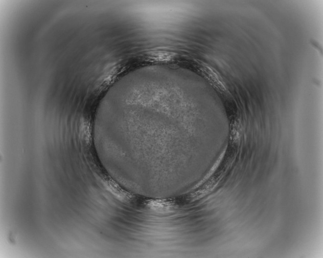 X0000097000568200802221523