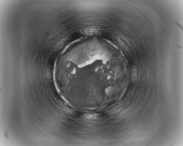 X0000097000569200802221523