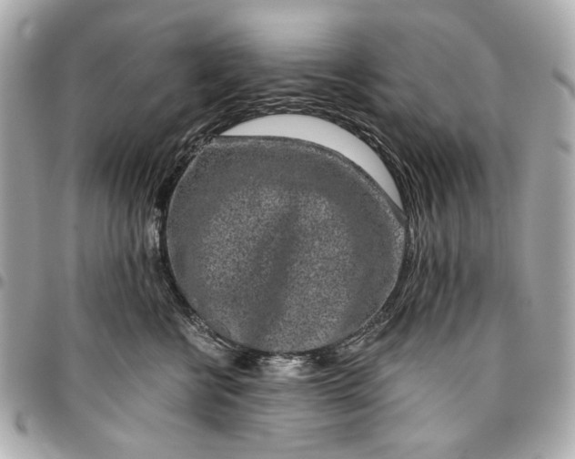 X0000097000570200802221523