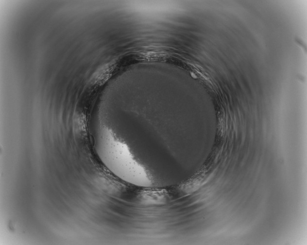 X0000097000571200802221523