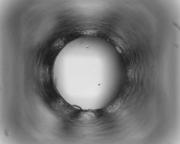 X0000097000572200802221523