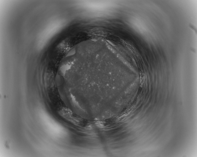 X0000097000573200802221523