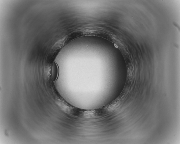 X0000097000574200802221523