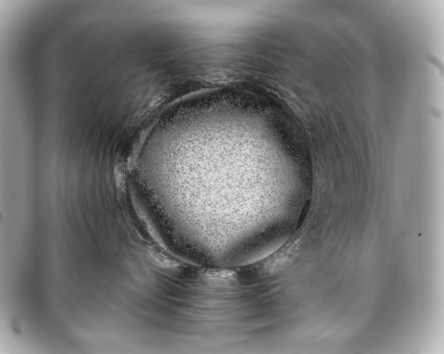 X0000097000576200802221523