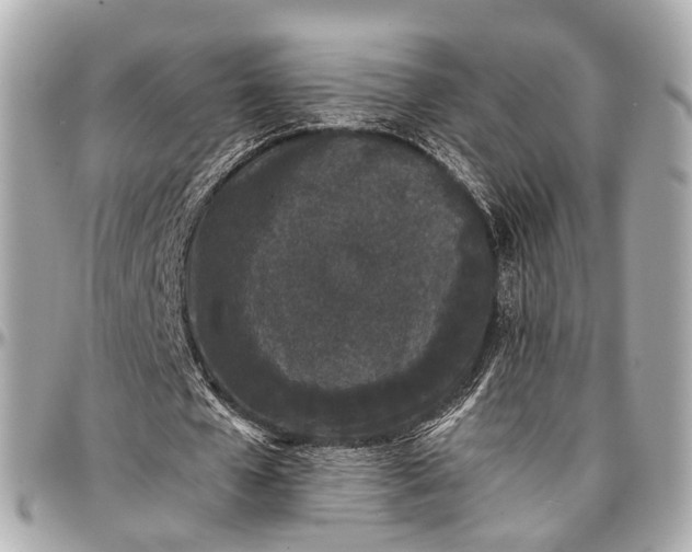 X0000097000577200802221523