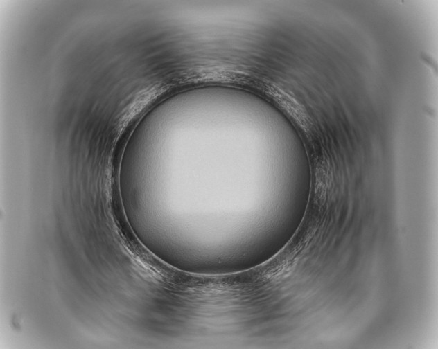 X0000097000578200802221523