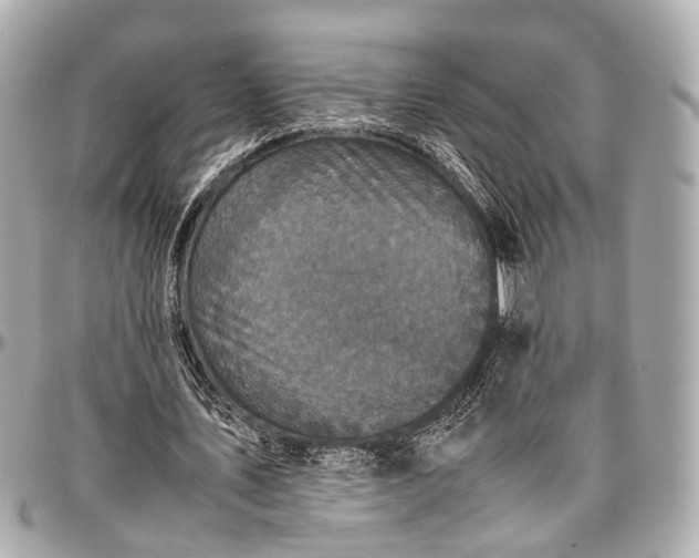 X0000097000579200802221523