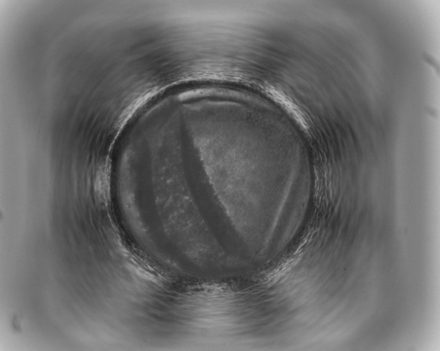 X0000097000580200802221523