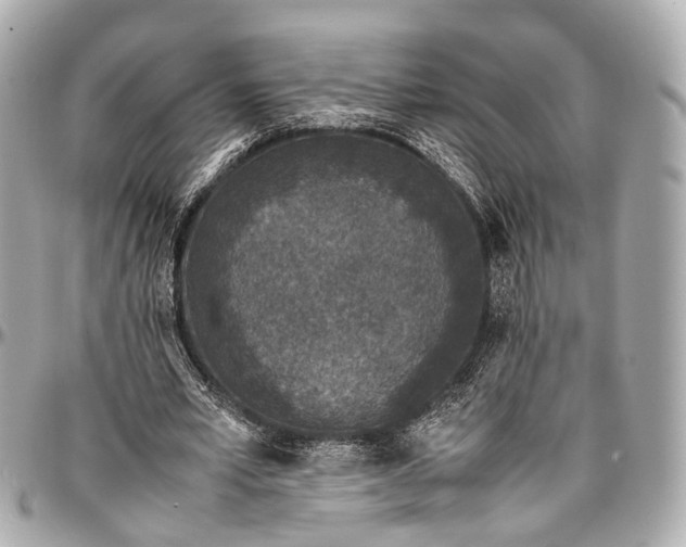 X0000097000581200802221523