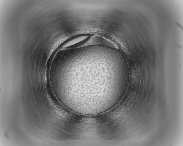 X0000097000582200802221523