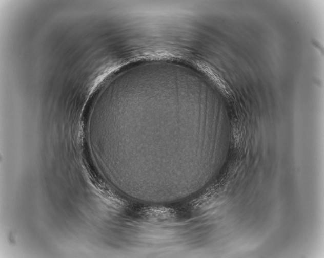 X0000097000583200802221523