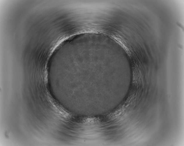 X0000097000584200802221523