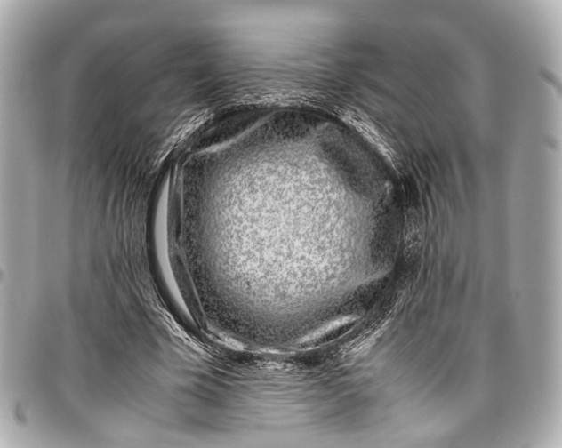 X0000097000585200802221523