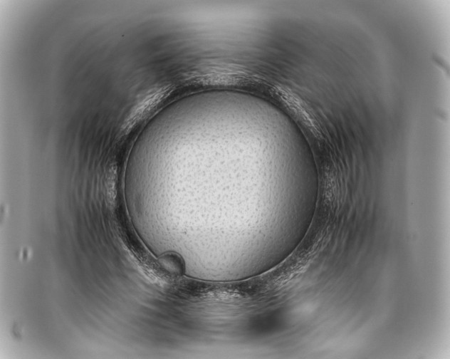 X0000097000586200802221523