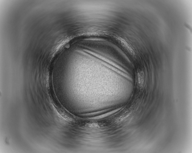 X0000097000588200802221523