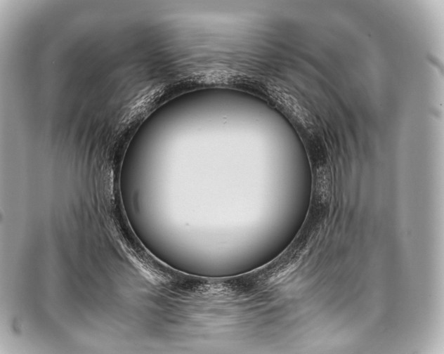 X0000097000589200802221523