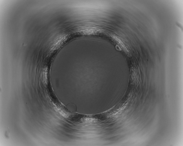 X0000097000590200802221523