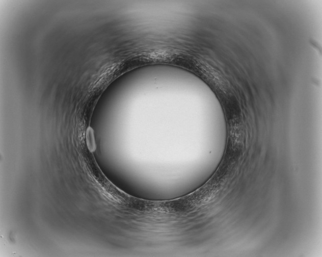 X0000097000593200802221522