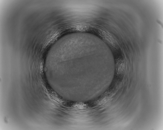 X0000097000595200802221522